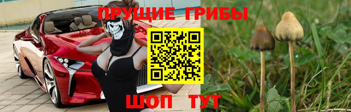 Псилоцибиновые грибы прущие грибы  Вход с VPN  Галлюциногенные грибы Psilocybine cubensis  Курган 